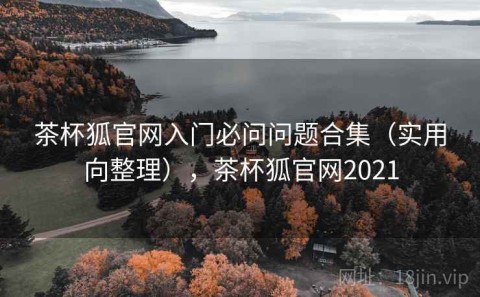 茶杯狐官网入门必问问题合集（实用向整理），茶杯狐官网2021