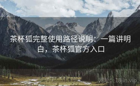 茶杯狐完整使用路径说明：一篇讲明白，茶杯狐官方入口