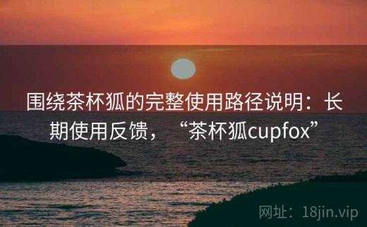 围绕茶杯狐的完整使用路径说明：长期使用反馈，“茶杯狐cupfox”