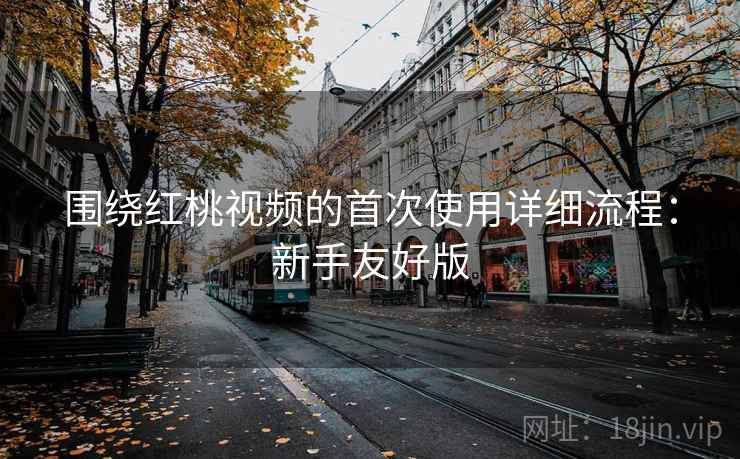 围绕红桃视频的首次使用详细流程：新手友好版