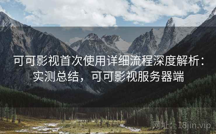 可可影视首次使用详细流程深度解析:实测总结,可可影视服务器端 可可影视首次使用详细流程深度解析:实测总结,可可影视服务器端